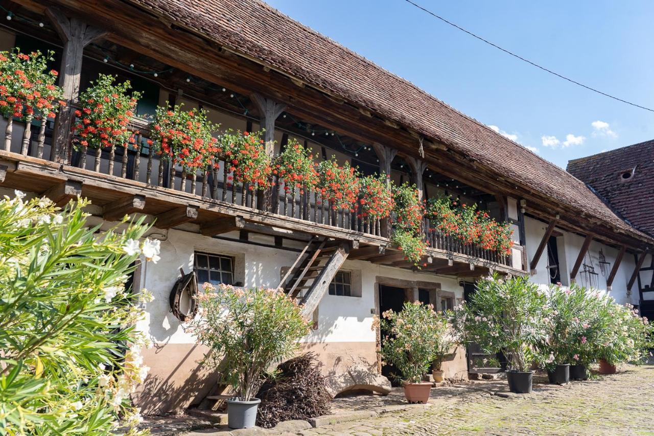 Chambres D'Hotes De Charme A La Ferme Freysz Quatzenheim Ngoại thất bức ảnh